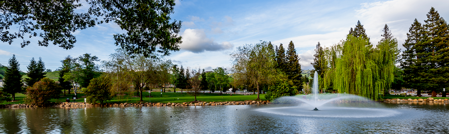 Banner image of Danville